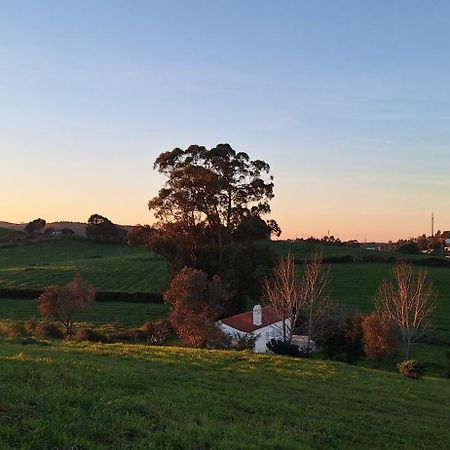 Portela Guesthouse Cercal do Alentejo エクステリア 写真
