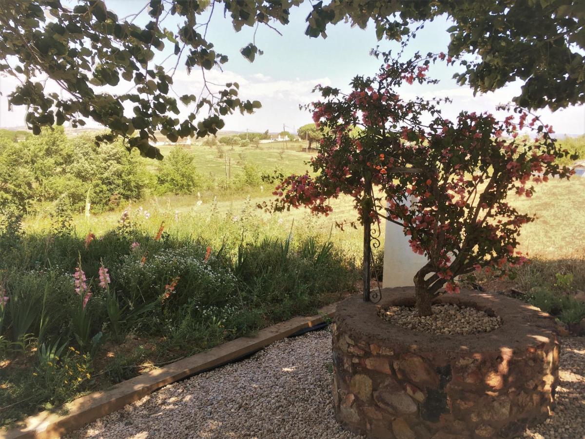 Portela Guesthouse Cercal do Alentejo エクステリア 写真