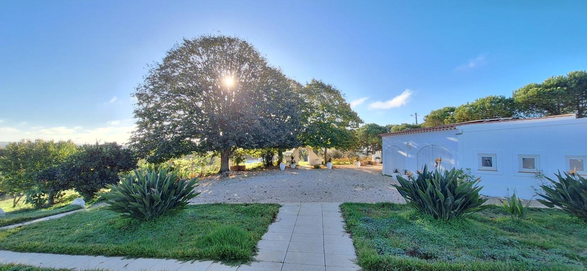 Portela Guesthouse Cercal do Alentejo エクステリア 写真